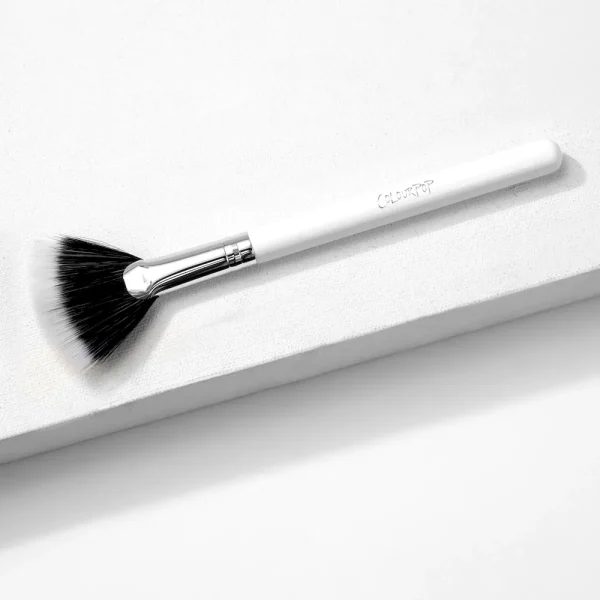Fan Brush On Sale - Image 2
