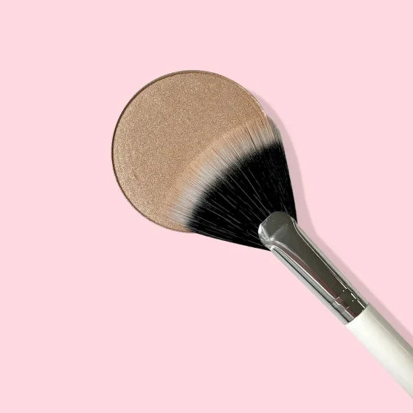Fan Brush On Sale - Image 3