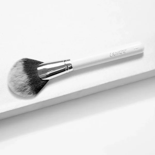 Full Fan Face Brush New Arrival - Image 2