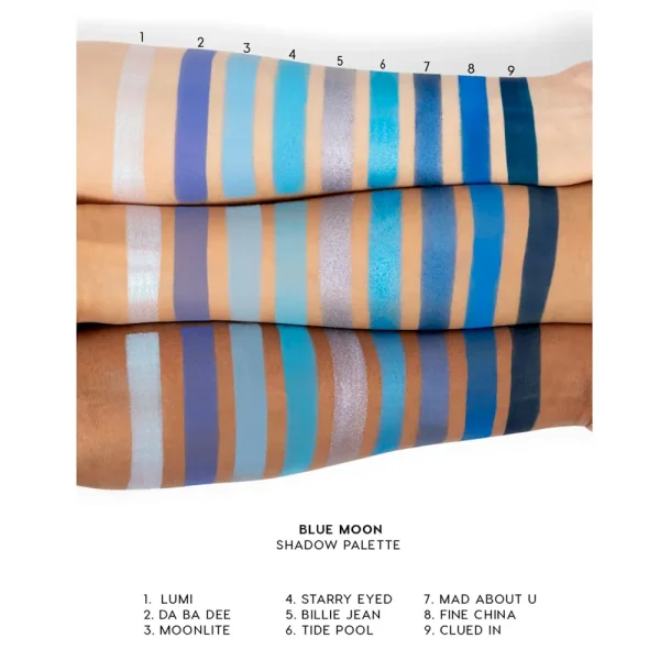 Blue Moon For Sale - Image 4