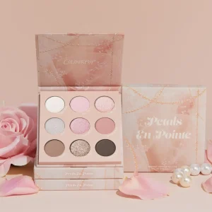 Petals En Pointe Same Day Delivery