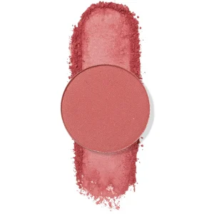 Shake It Up Free shipping