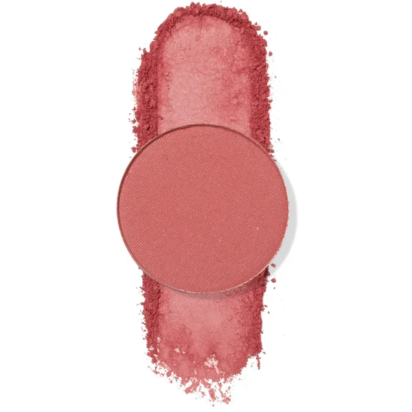 Shake It Up Free shipping