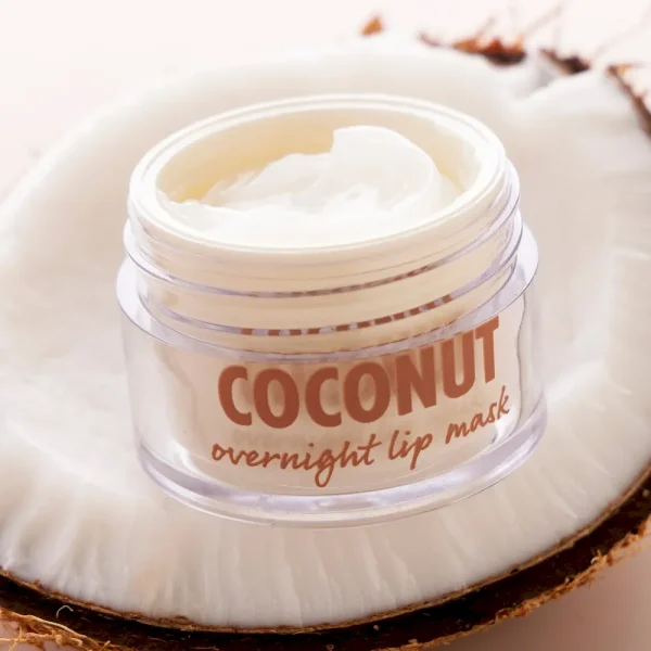 Coconut High Quality - Image 5