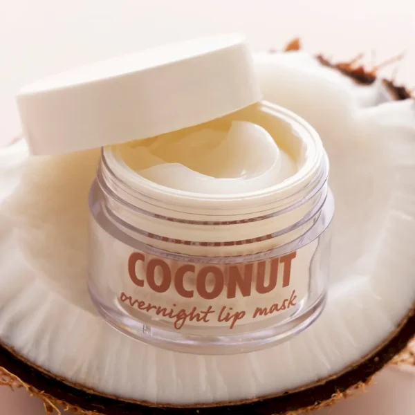 Coconut High Quality - Image 2